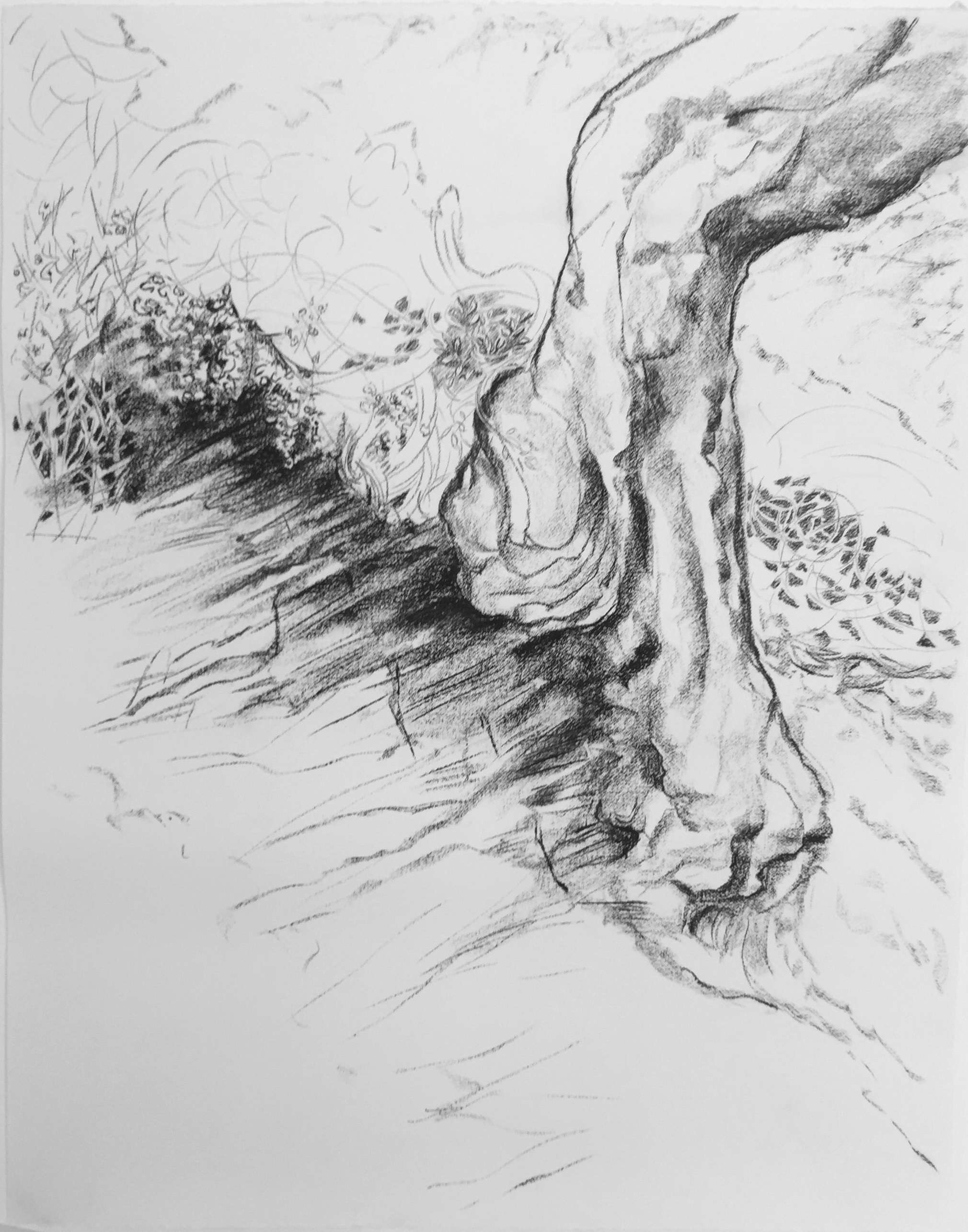 90x115_Cárcava_SierraNorte_